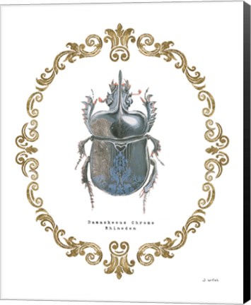Framed Adorning Coleoptera IV Print