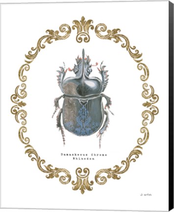 Framed Adorning Coleoptera IV Print