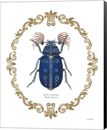 Framed Adorning Coleoptera III Print