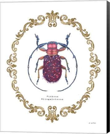 Framed Adorning Coleoptera II Print