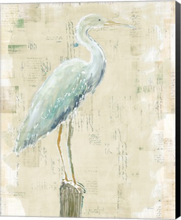 Framed Coastal Egret I v2 no Aqua Print