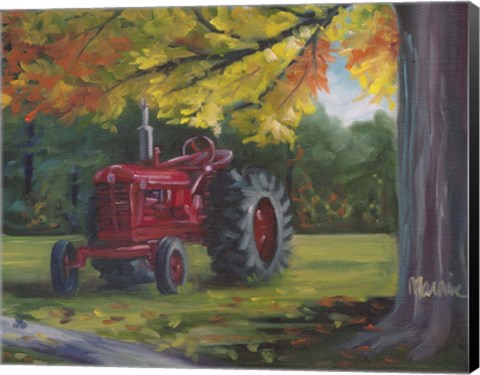Framed Farmall Splendour Print