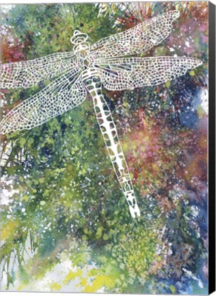 Framed Dragonfly Print