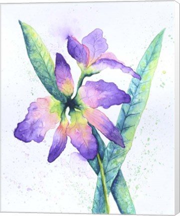 Framed Purple Orchid Print