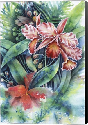 Framed Red Orchid Print