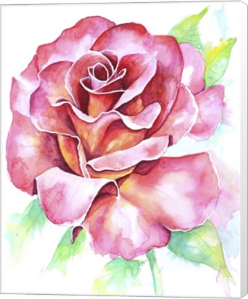 Framed Rose Print