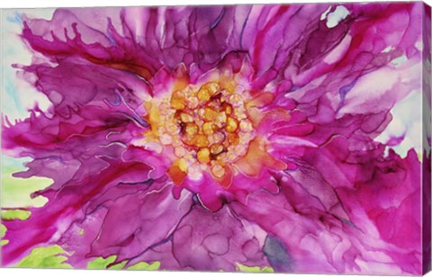 Framed Pink Passion Print