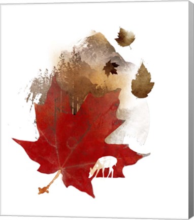 Framed Autmn Leaf Print