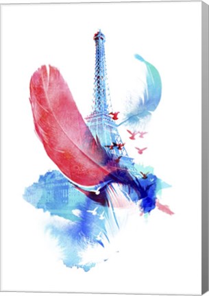 Framed Pigeons Of Paris Print