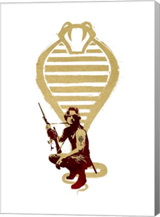 Framed Snake Plisskin Print