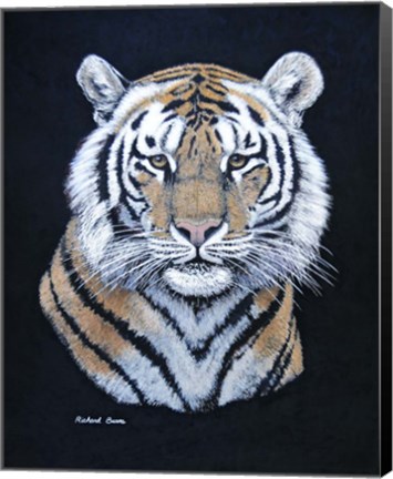 Framed Tiger Print