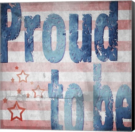 Framed American Born Free Sign Collection 3 Print
