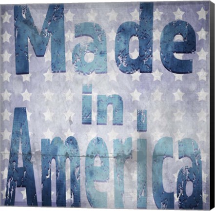 Framed American Born Free Sign Collection V4 Print