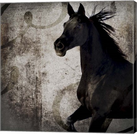 Framed Gypsy Horse Collection V1 1 Print