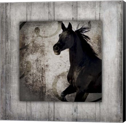 Framed Gypsy Horse Collection V1 8 Print