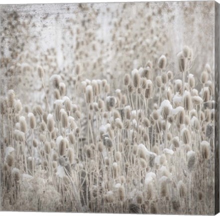 Framed My Farm My Way Photos 2 Print