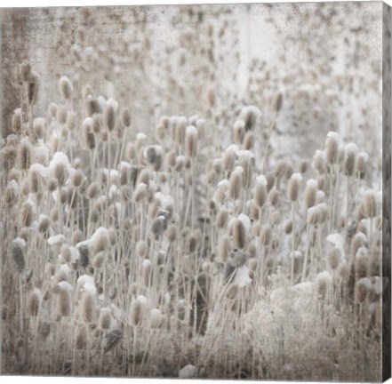 Framed My Farm My Way Photos 3 Print