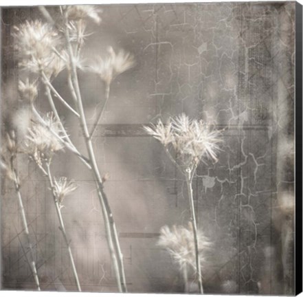 Framed My Farm My Way Photos 7 Print