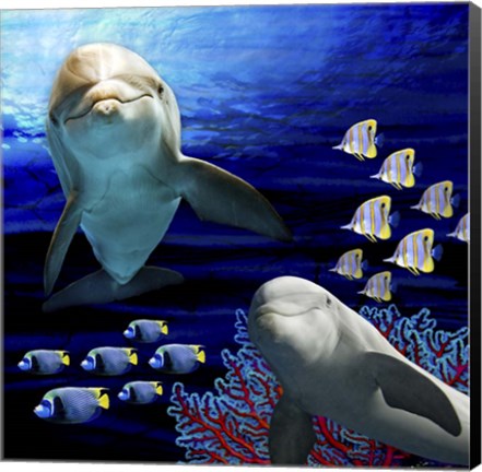 Framed Sea Creatures Dolphines Print