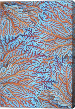 Framed Sea Creatures Surface Pattern 1 Print