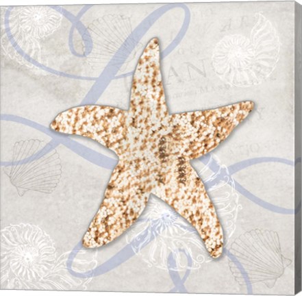 Framed Sea Side Gypsy - Starfish Print