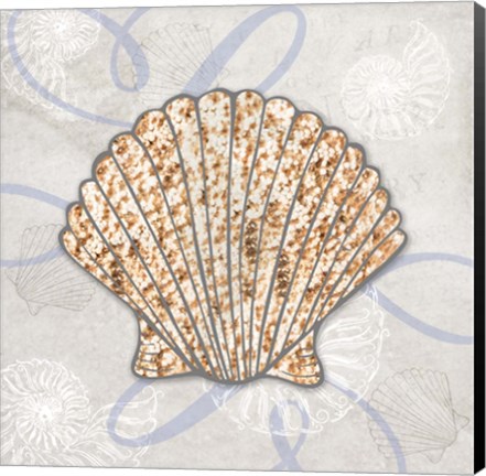 Framed Sea Side Gypsy - Shell Print