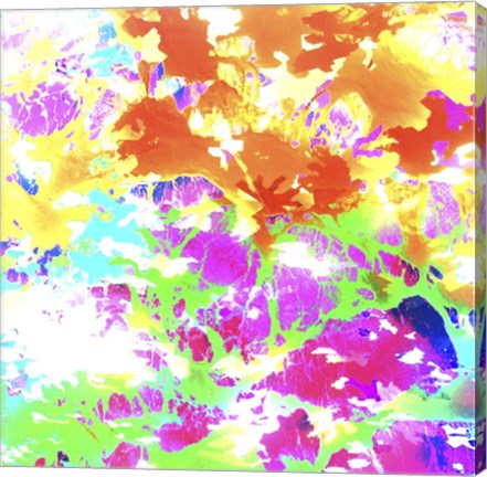 Framed Bright Scarf 1 Print