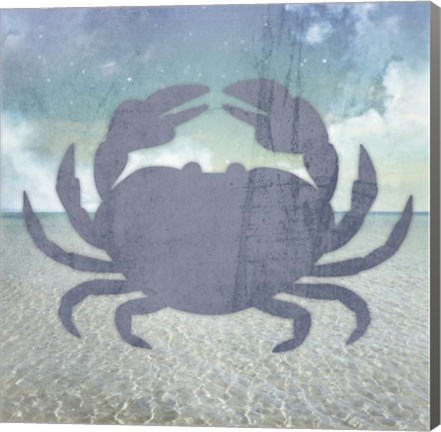 Framed Beach Signs Crab Print