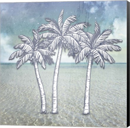 Framed Beach Signs PalmTrees Print