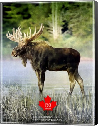 Framed Moose Canada 150th Anniversary Print