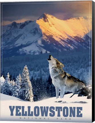 Framed Yellowstone Wolf Print
