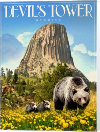 Framed Devils Tower Print