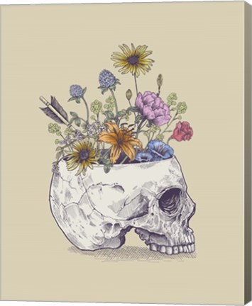 Framed Half Skull Flowers Print