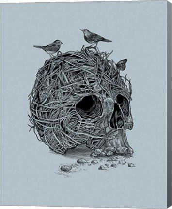 Framed Skull Nest Print