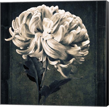 Framed Mum Texture Print