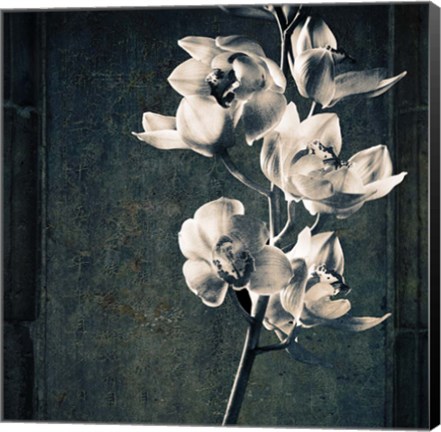 Framed Orchids Stem Texture Print