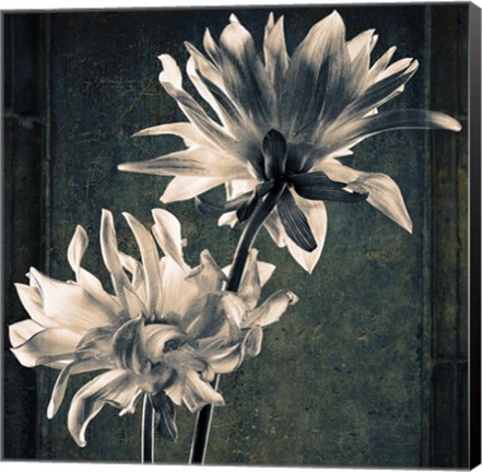 Framed Two Unknowns Texture Print