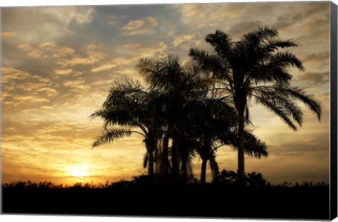 Framed Everglades Sunrise Print