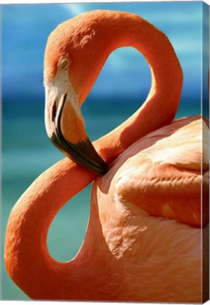 Framed Flamingo Print