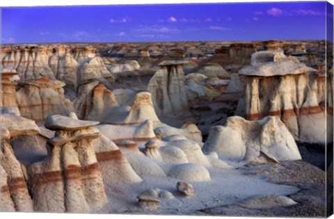 Framed Bisti Badlands Print