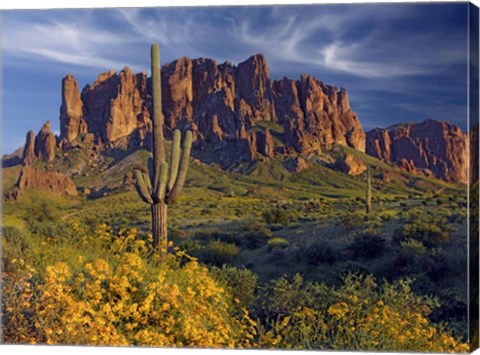 Framed Lost Dutchman flowers Print