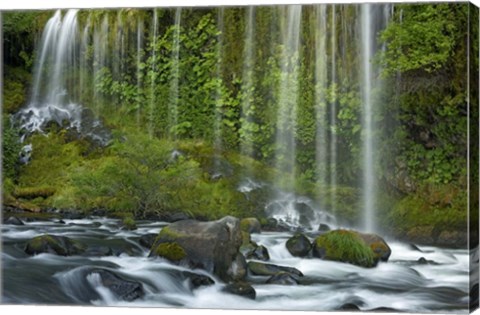 Framed Mossbrae Falls Print
