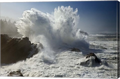 Framed Oregon Shore Acres SP Wave Print