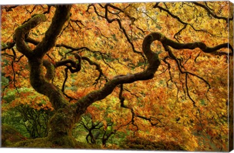 Framed Portland Japanese Garden Print