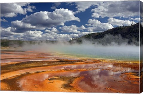 Framed Prismatic Springs Print