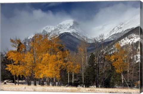 Framed RMNP Aspens and Storm Clouds Print