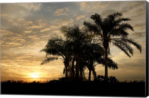 Framed Sunrise Experinemt Print