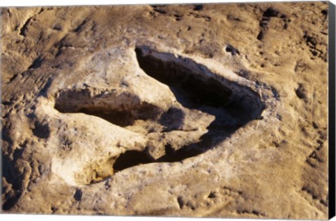 Framed 1990S Dinosaur Track Glen Rose Tx Print