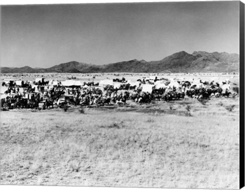 Framed Movie Still Of The Starting Line Of Oklahoma Land Rush 1893 Print