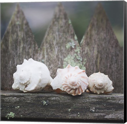 Framed Beach Treasures Print